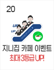20일