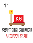 11일