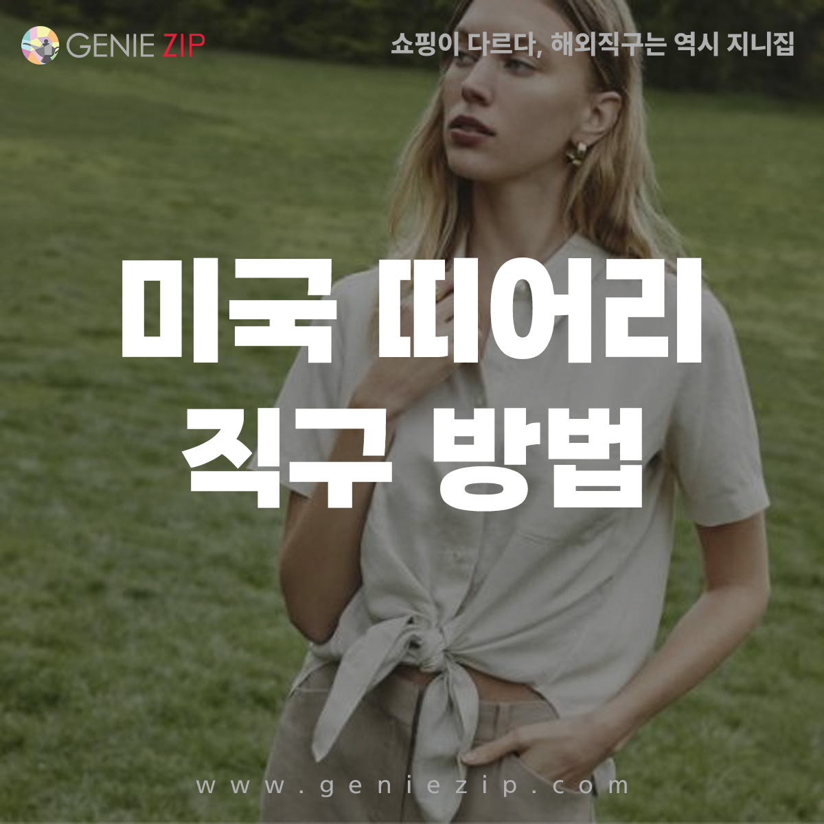 미국 띠어리 직구 방법